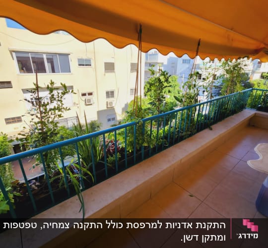 עציצים עם צמחים ירוקים על מעקה מרפסת